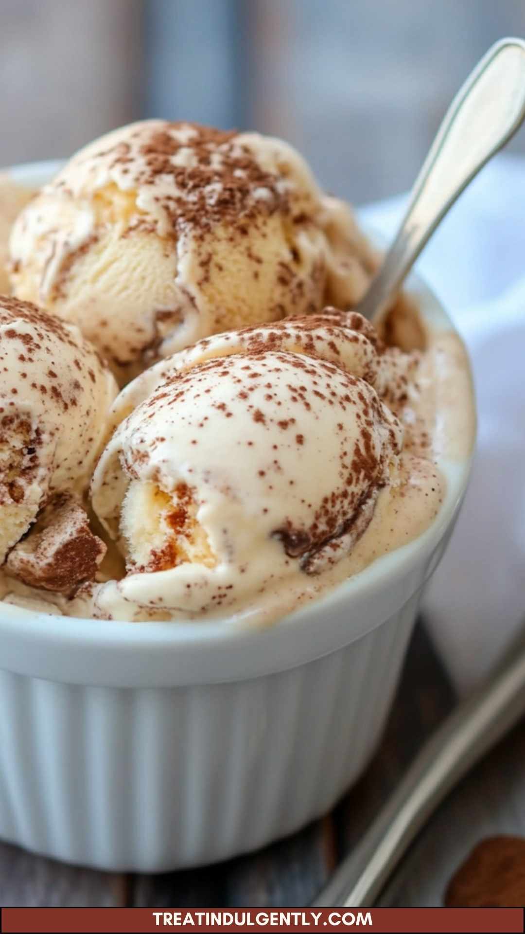 Best Tiramisu Ice Cream Recipe