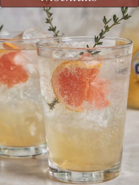 Fruit Vinegar Shrub Mocktails